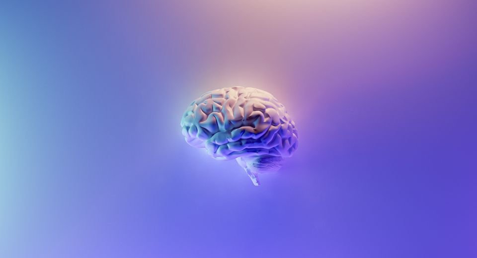 A new artificial intelligence-driven model can analyse magnetic resonance imaging of brain scans to accurately capture cognitive decline linked to neurodegenerative diseases such as Alzheimer's.