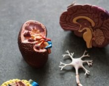 GSK Plc., a British global pharmaceutical company, announced the FDA had approved an oral drug to treat anaemia arising from chronic kidney disease in patients who have been on dialysis for four months.
