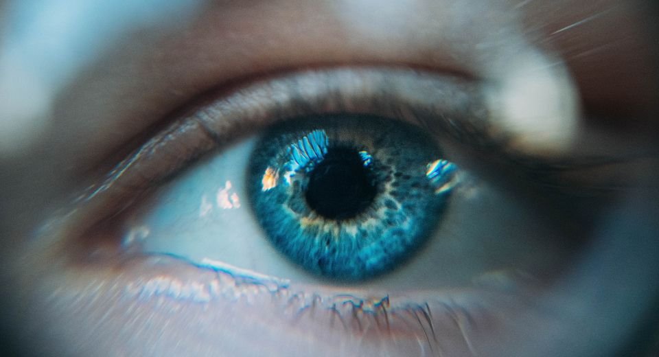 blue light filtering not beneficial for eye health