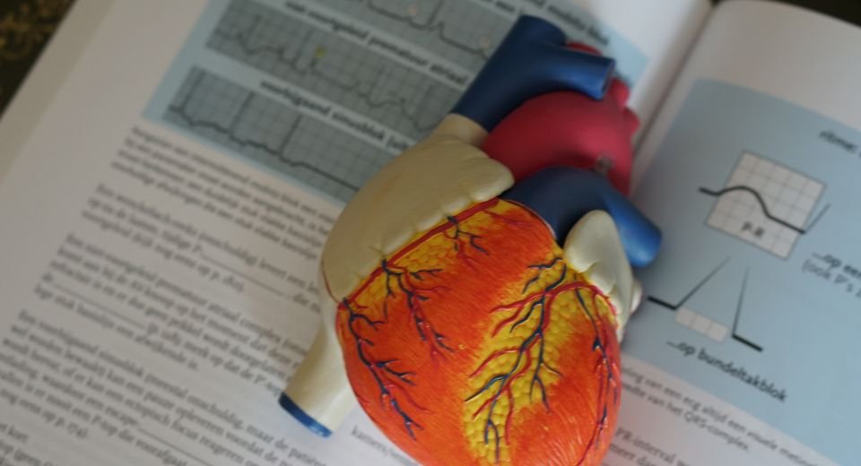 Cytokinetics, a US-based biopharmaceutical company, announced the FDA had rejected its new drug application for approving a trial drug to treat heart problems with reduced ejection fraction (HFrEF).
