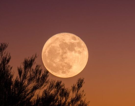 Suicides in Indiana, US, happens largely during the week of a full moon, between three and four in the afternoon, and peak in September, psychiatrists found.