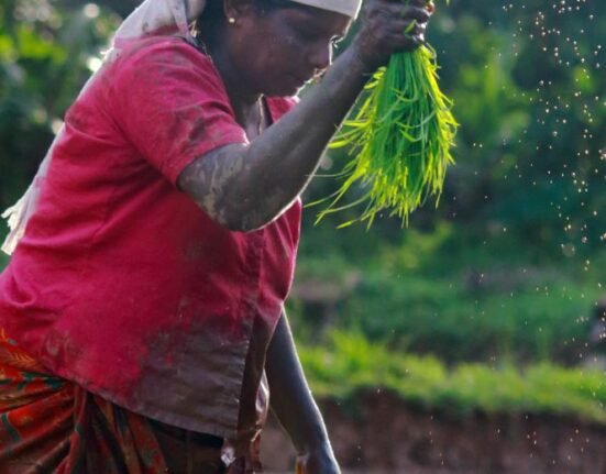 Women farmers’ inequalities on the rise as global hunger intensifies