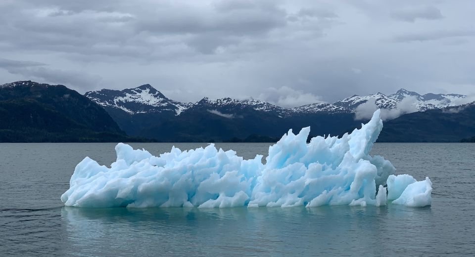 Record-breaking heat caused by greenhouse gases, ocean heat, and ocean acidification have resulted in glacial melts, a rise in sea levels, and human displacement last year,  according to a WMO report. 