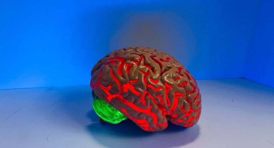 A blood protein, called fibrin, which supports clotting, is responsible for switching on detrimental genes in Alzheimer’s disease and multiple sclerosis, researchers say.