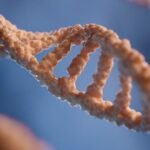 Pfizer Inc. announced that USFDA has accepted its biologics license application for treating bleeding disorders in adults through gene therapy.