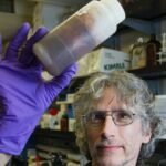A simple blood test can diagnose Parkinson’s disease which afflicts more than 10 million people globally, according to researchers at the Duke University Health Systems.