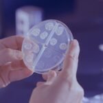 The WHO’s rapid test will be used as the first method to diagnose tuberculosis and the global health agency will license one TB vaccine in a bid to reach 90% of the patients and to end the epidemic.