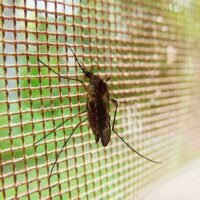 Using structural and mechanistic information of two parasitic proteins, scientists have built a new component for a vaccine that may induce an immune response to malaria.