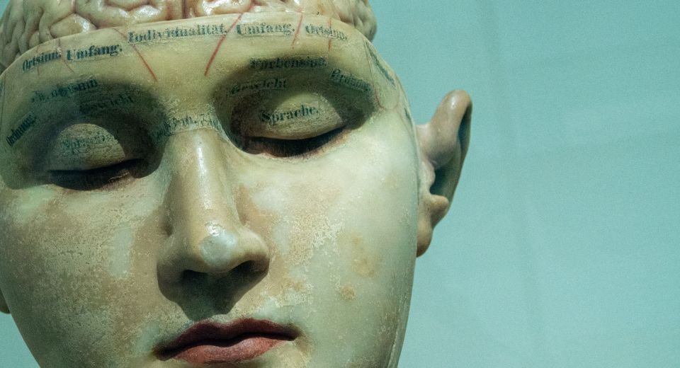 Fatalistic Mind Decoding the murderous mind: The neuroscience behind killers - HealthQuill