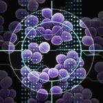 After screening 12 million commercially available compounds using AI, researchers at the Massachusetts Institute of Technology have discovered a drug candidate to terminate a potentially fatal skin bacteria.