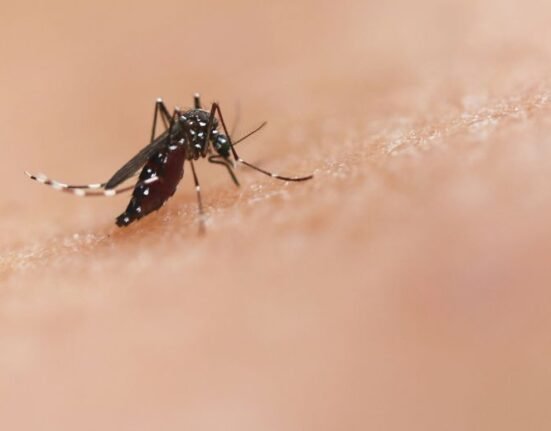 South American country Peru has declared a health emergency in 20 of the nation’s 25 regions due to an increase in dengue cases.