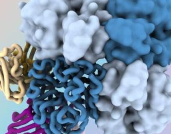 Antibodies to target a hard-to-spot region or the “dark side” of the influenza virus were discovered by researchers, and may pave new vaccines and therapies to fight the disease.