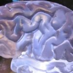 Noland Arbaugh, 29, the first human to receive Neuralink’s brain implant, was able to play online chess and a video game using the device, according to a video posted by billionaire Elon Musk’s X platform.