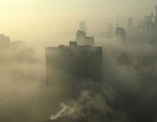 About 70% of the 4.2 million deaths in 2019 attributed to air pollution were caused by cardiovascular conditions — ischaemic heart disease and stroke, according to a report.