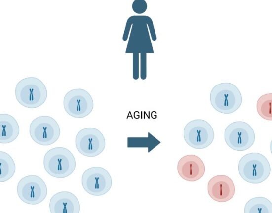 https://www.cancer.gov/news-events/press-releases/2024/genetic-factors-predict-x-chromosome-loss