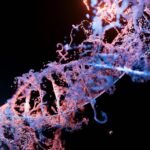 Ascidian Therapeutics, a US-based biotechnology company announced a $42 million research pact with Swiss multinational Roche AG for developing gene editing therapies.