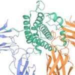 British-Swedish AstraZeneca has acquired Amolyt Pharma for $1.05 billion to gain access to Lyon, France-based company’s rare disease, late-stage pipeline.