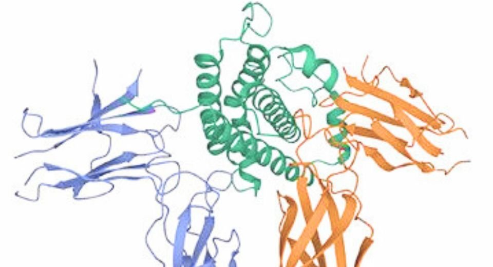 British-Swedish AstraZeneca has acquired Amolyt Pharma for $1.05 billion to gain access to Lyon, France-based company’s rare disease, late-stage pipeline.