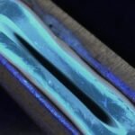 Flexible, gel-like synthetic tubes can replace human veins during heart bypass operations to reroute blood flow, according to engineers at the University of Edinburgh.