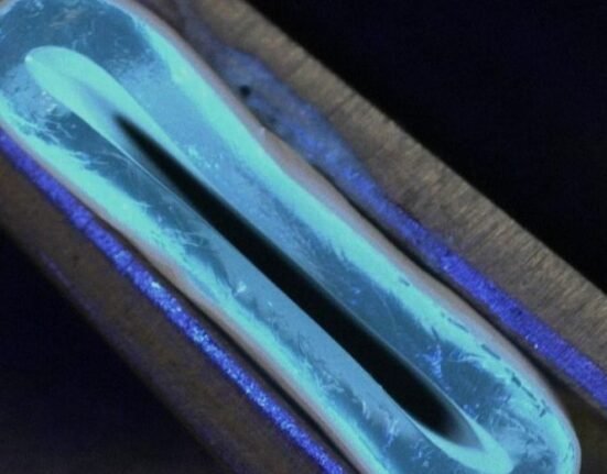 Flexible, gel-like synthetic tubes can replace human veins during heart bypass operations to reroute blood flow, according to engineers at the University of Edinburgh.