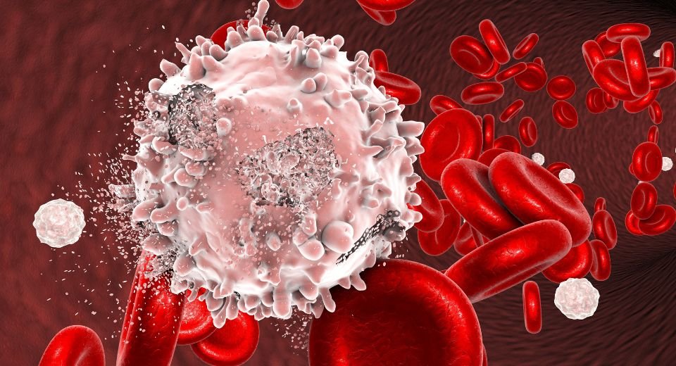 Citius Pharmaceuticals, Inc., a US-based biotechnology company, got a green light from the country’s drug regulator for its immunotherapy treatment for a rare form of blood cancer that affects the skin.