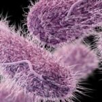 Antibiotic-resistant infections may kill 39.1 million people in the next 25 years equating to three deaths a minute, a global study finds.