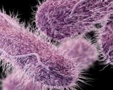 Antibiotic-resistant infections may kill 39.1 million people in the next 25 years equating to three deaths a minute, a global study finds.