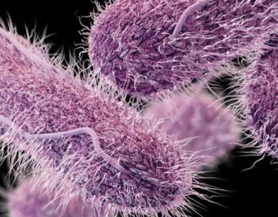 Antibiotic-resistant infections may kill 39.1 million people in the next 25 years equating to three deaths a minute, a global study finds.