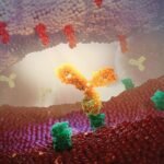 British-Swedish AstraZeneca and Japan's Daiichi Sankyo’s investigational drug for breast cancer failed to significantly improve the overall survival of the patients during an end-stage trial, according to a joint statement.
