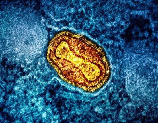 The US national public agency has issued a Health Alert Network on the ongoing outbreak of the Clade I monkeypox virus, warning its nationals to avoid sex and proximity with an infected person.