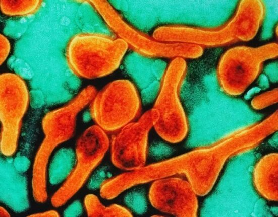 Eight people have died in Rwanda due to Marburg virus disease and 26 others were confirmed to be infected by the illness — the first such in the eastern-central African nation.