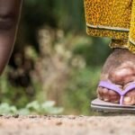 Brazil became the 20th country in the world that has been validated by WHO to have eliminated lympatic filariasis as a public health problem.