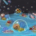 Harvard University researchers have developed a drug-free nasal spray that blocks, and neutralizes viruses and bacteria.