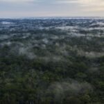 More than 200 people were murdered worldwide last year while trying to protect their lands and the environment from corporations, governments and non-state actors, according to a Global Witness report.