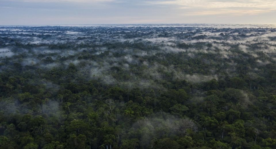 More than 200 people were murdered worldwide last year while trying to protect their lands and the environment from corporations, governments and non-state actors, according to a Global Witness report.