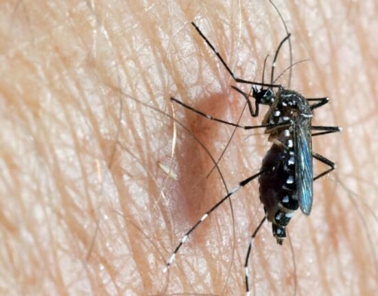 Dengue cases in the Americas Region exceeded the number of cases historically reported in a year, as compared to all previously recorded years, according to the Pan American Health Organization.