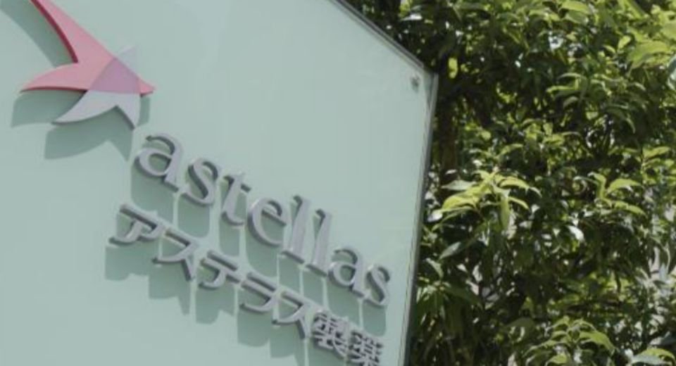 Astellas Pharma Inc.’s therapy to treat a form of gastric cancer got approval from the US drug regulator, according to a company statement.