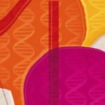 Alzheimer's disease has an initial silent and slow phase before the second stage of a destructive accumulation of plaques, tangles and other symptoms occurs, a brain-mapping study funded by the National Institutes of Health finds.