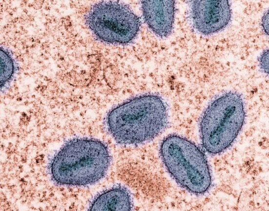 Britain has detected two cases of Clade Ib mpox, a variant, in household contacts of the first case, taking the total to three since last week, according to the UK Health Security Agency (UKSHA).