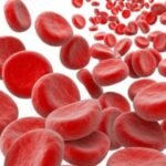 Johnson & Johnson has submitted regulatory applications to the US drug regulator and European Medicines Agency (EMA) for the extended approval of a blood cancer therapy.