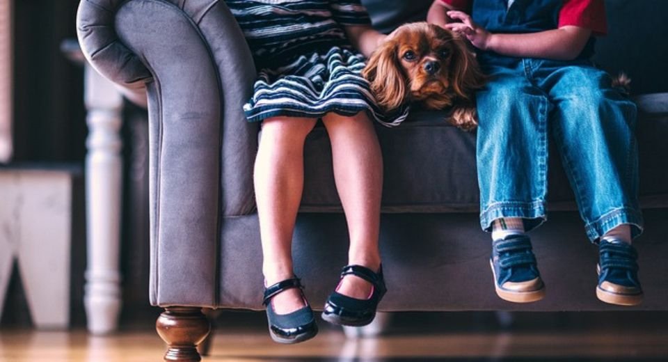 Study reveals early signs of Multiple Sclerosis in children - HealthQuill