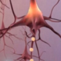 US adults who will develop dementia every year will rise to one million in 2060 from 514,000 in 2020, according to a study published in Nature Medicine.