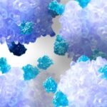 Atara Biotherapeutics’ Ebvallotm therapy, for treating patients with a rare cancer that occurs after stem cell transplantation, got rejected by the US drug regulator.