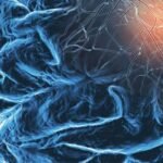 Biogen Inc. and its Japanese partner, Eisai Co. Ltd., announced that the US regulator had approved four-weekly maintenance dosing for its Alzheimer's drug.