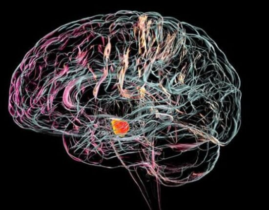 Researchers at Cambridge are developing implants that could help repair damaged brain cells and treat diseases like Parkinson’s.