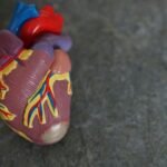 Australian team performs titanium heart transplant on a man who survives outside hospital setting awaiting heart translant