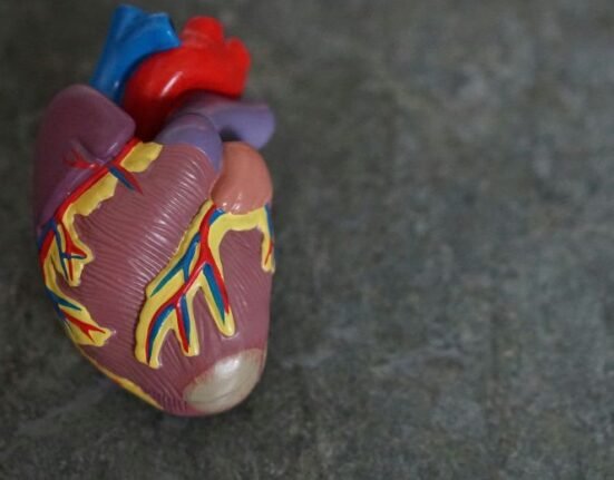 Australian team performs titanium heart transplant on a man who survives outside hospital setting awaiting heart translant