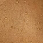 A ten-fold increase in measles cases was reported from Europe last year, while the numbers shot up 11-fold this year until April 18, in the American region, according to two global health agencies.