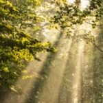 One in five Indians are Vitamin D deficient, a silent epidemic affecting 46% of children aged 0-10 years, with policymakers having no comprehensive roadmap to address the issue, a study finds.