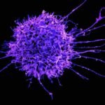 Amgen Inc.’s treatment for adults living with immune-mediated inflammatory conditions was granted regulatory approval by the US Food and Drug Administration, according to a statement.